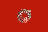 温州市永嘉回收红酒